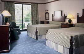 33333333.jpg 33333333.jpg