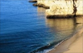 34e04_22.jpg 34e04_22.jpg