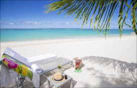 36235_3.jpg 36235_3.jpg