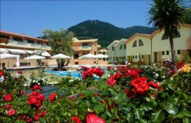 37fb6_4.jpg 37fb6_4.jpg