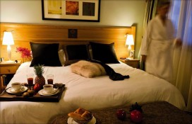 38006243.jpg 38006243.jpg