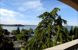 39460540.jpg 39460540.jpg