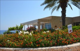 3a1cb_10164610.jpg 3a1cb_10164610.jpg