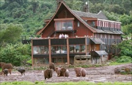 40e5a_elephants-at-the-salt.jpg 40e5a_elephants-at-the-salt.jpg