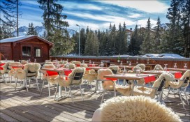 44594143.jpg 44594143.jpg