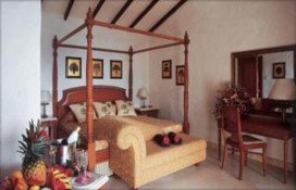 50251preview.jpg 50251preview.jpg