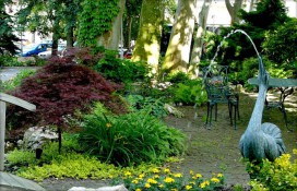 51016374.jpg 51016374.jpg