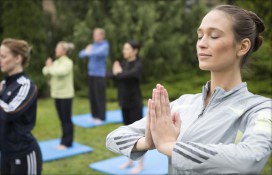 51016491.jpg 51016491.jpg