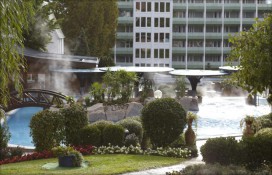 51016612.jpg 51016612.jpg