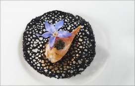 55661768.jpg 55661768.jpg