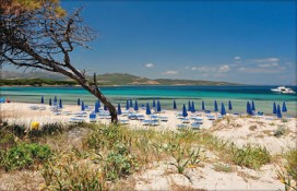 55a84_0000.jpg 55a84_0000.jpg