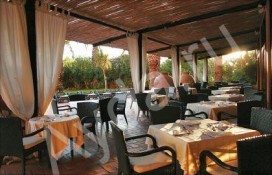 671ca_1111111.jpg 671ca_1111111.jpg