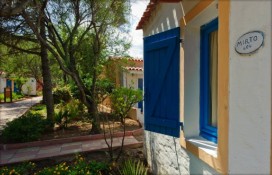 7007206.jpg 7007206.jpg