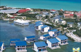 7894134.jpg 7894134.jpg