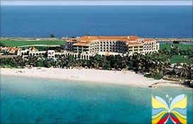 79431564.jpg 79431564.jpg