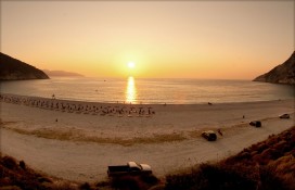 79695_pac8473.jpg 79695_pac8473.jpg