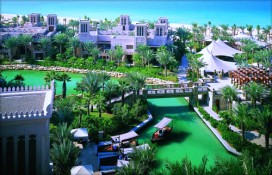 7989f_7.jpg 7989f_7.jpg