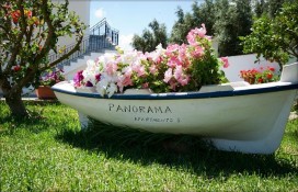 7f47a_4854879.jpg 7f47a_4854879.jpg