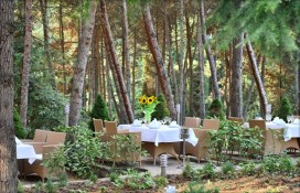 7fbd9_7.jpg 7fbd9_7.jpg