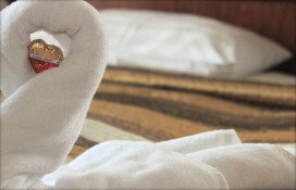 8059794.jpg 8059794.jpg