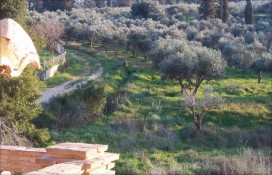 8097857.jpg 8097857.jpg