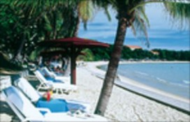 81ea4_sm5113resize.jpg 81ea4_sm5113resize.jpg