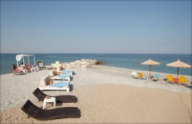 8246947.jpg 8246947.jpg