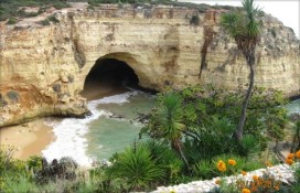 847d0_2222.jpg 847d0_2222.jpg