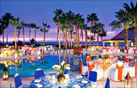 8538f_big4.jpg 8538f_big4.jpg