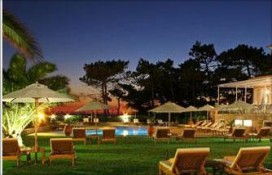 853ad_333.jpg 853ad_333.jpg