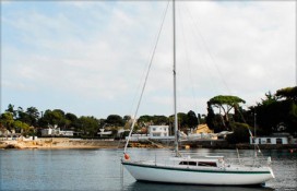 8c769_167091.jpg 8c769_167091.jpg