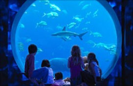 90b31_2.jpg 90b31_2.jpg