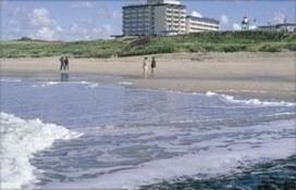 9100919.jpg 9100919.jpg