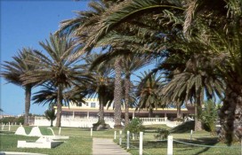 95db1_10015-b.jpg 95db1_10015-b.jpg