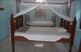 a4061_1.jpg a4061_1.jpg