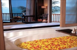 aa01a_90622b.jpg aa01a_90622b.jpg