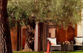 about-the-resort.jpg about-the-resort.jpg