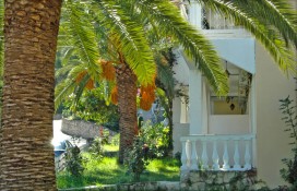 admiral-hotel-argasi-zakynthos-18.jpg admiral-hotel-argasi-zakynthos-18.jpg