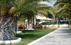 alexandra-beach1.jpg alexandra-beach1.jpg