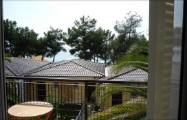 alexandra-beach5.jpg alexandra-beach5.jpg