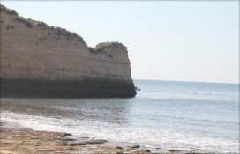 b8d36_1.jpg b8d36_1.jpg