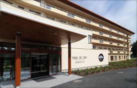 beloh-strom-pohled3-v.jpg beloh-strom-pohled3-v.jpg