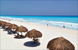 bf699_big8.jpg bf699_big8.jpg