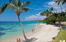 big245.jpg big245.jpg