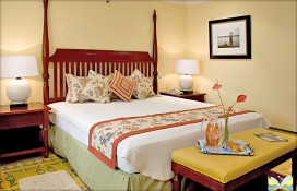 bigsaratoga-deluxe-patio.jpg bigsaratoga-deluxe-patio.jpg