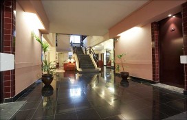 buganvilia2.jpg buganvilia2.jpg