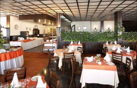 buganvilia6.jpg buganvilia6.jpg