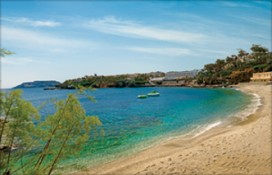 capsis-crystalimg-0530cut.jpg capsis-crystalimg-0530cut.jpg