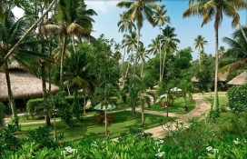 carnoustie-garden-new.jpg carnoustie-garden-new.jpg