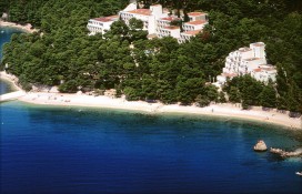 ceb33_2.jpg ceb33_2.jpg